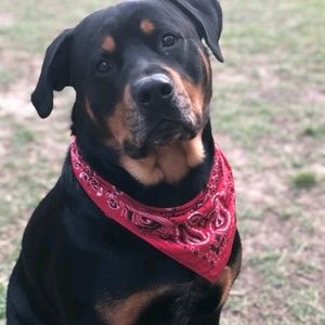 Meet your Posher, Trudy